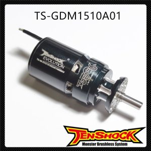 F5J Motor with Gearbox 4.75:1 650W TS-GDM1510A